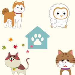 ペット・動物好きの集い